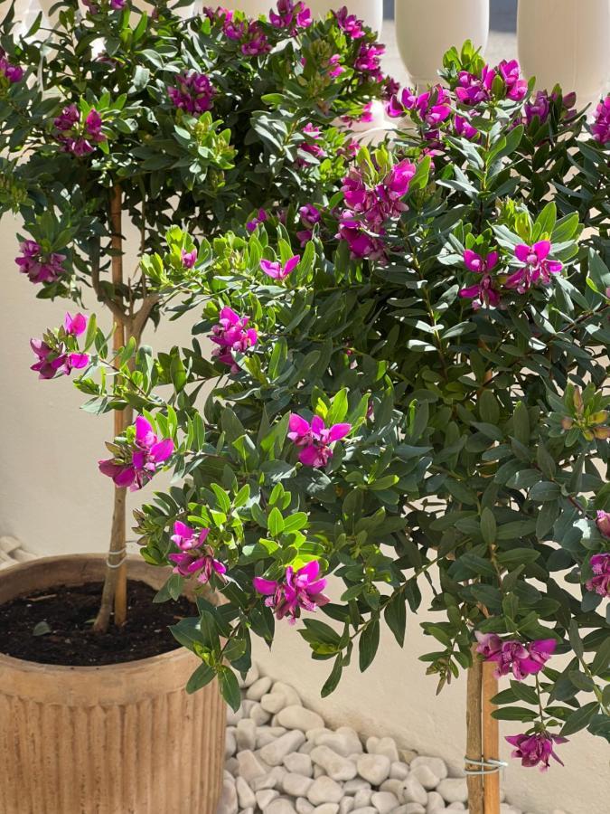 Fresh Apartment, 2 Bedroom, 2 Bathroom, 2 Lovely Poolareas Los Alcázares Exterior foto